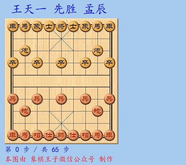 王天一个人赛冠军之战,王天一个人赛冠军次数