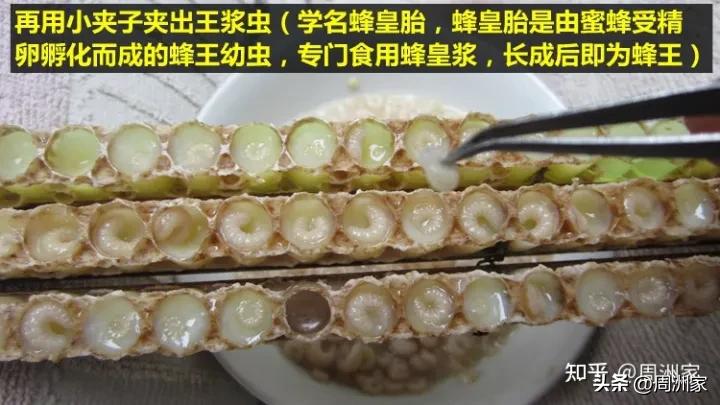 怎么鉴别好的蜂王浆真假,如何鉴别蜂王浆真伪好坏