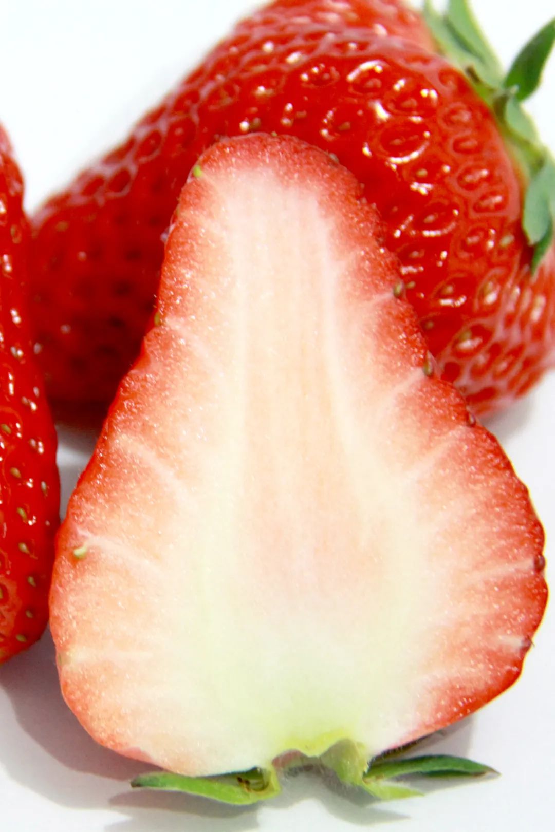 东港草莓,东港草莓新品质