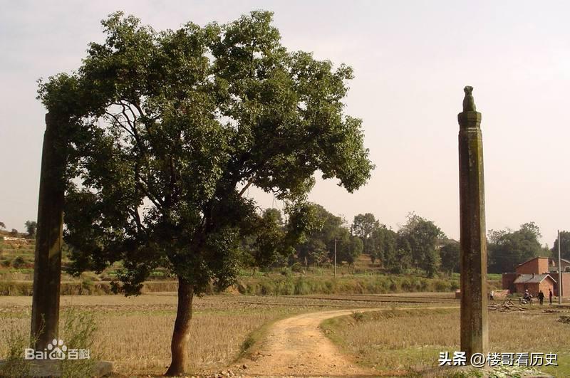 宁王朱宸濠叛乱为什么叛乱,历史上的宁王朱宸濠怎么死的