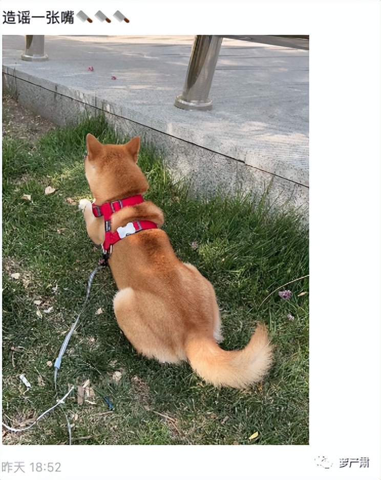 李易峰为什么会有今天？你知道他有多不想努力吗