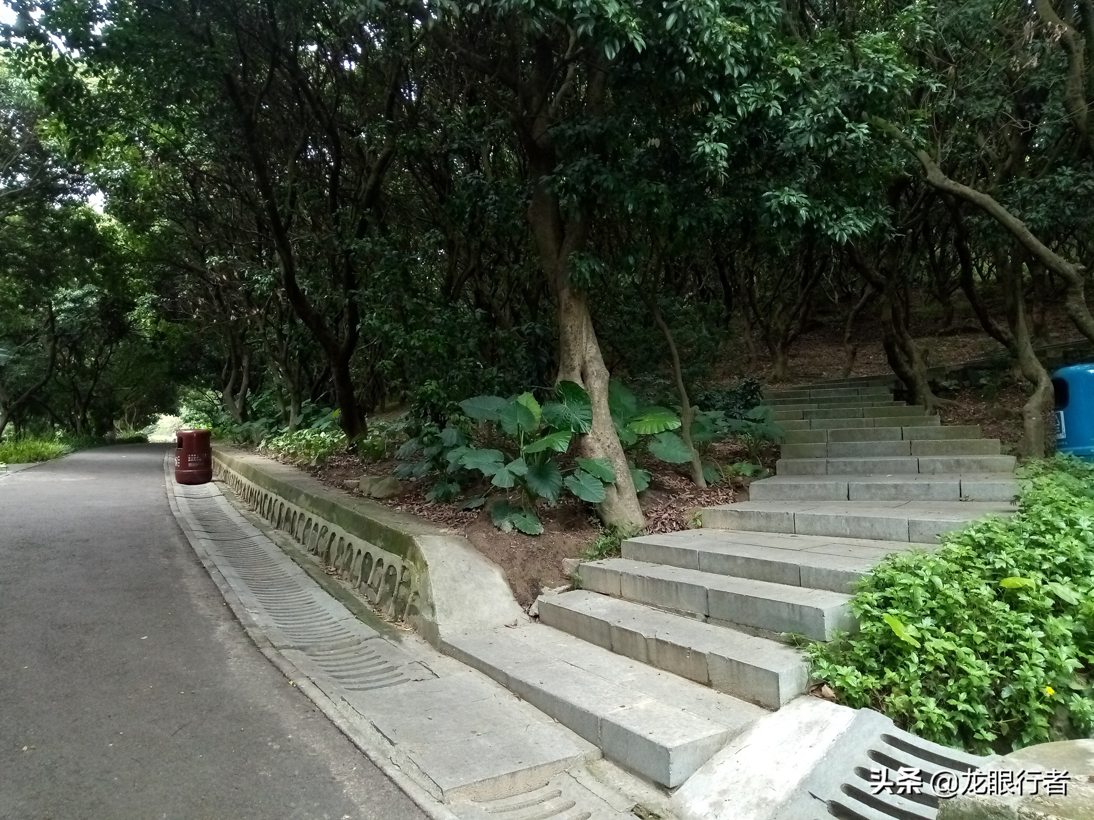 宝安中心徒步,宝安徒步打卡地方