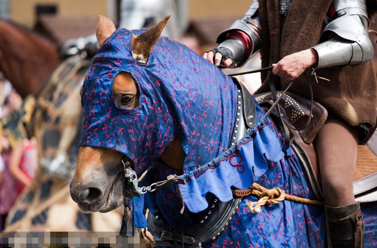 文化的驿站，中世纪法国的邮政系统与信息传播