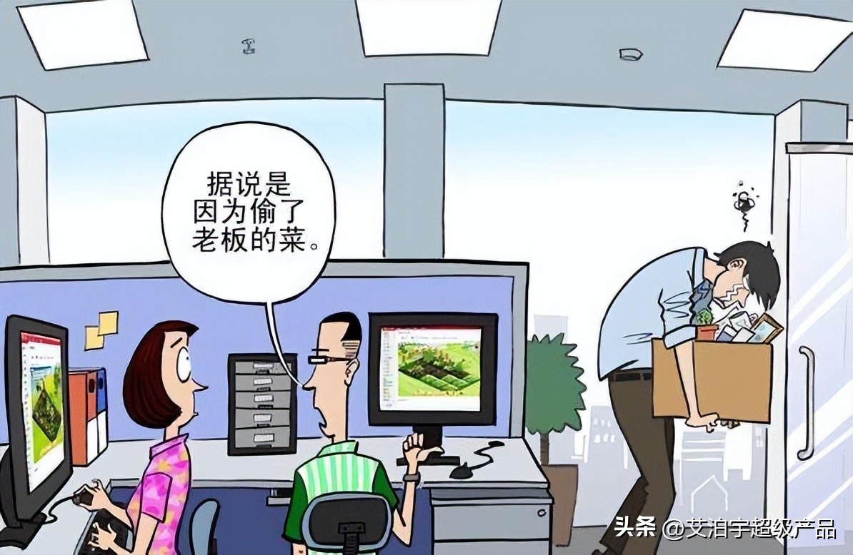 qq农场十年后的感受,qq农场运作方案