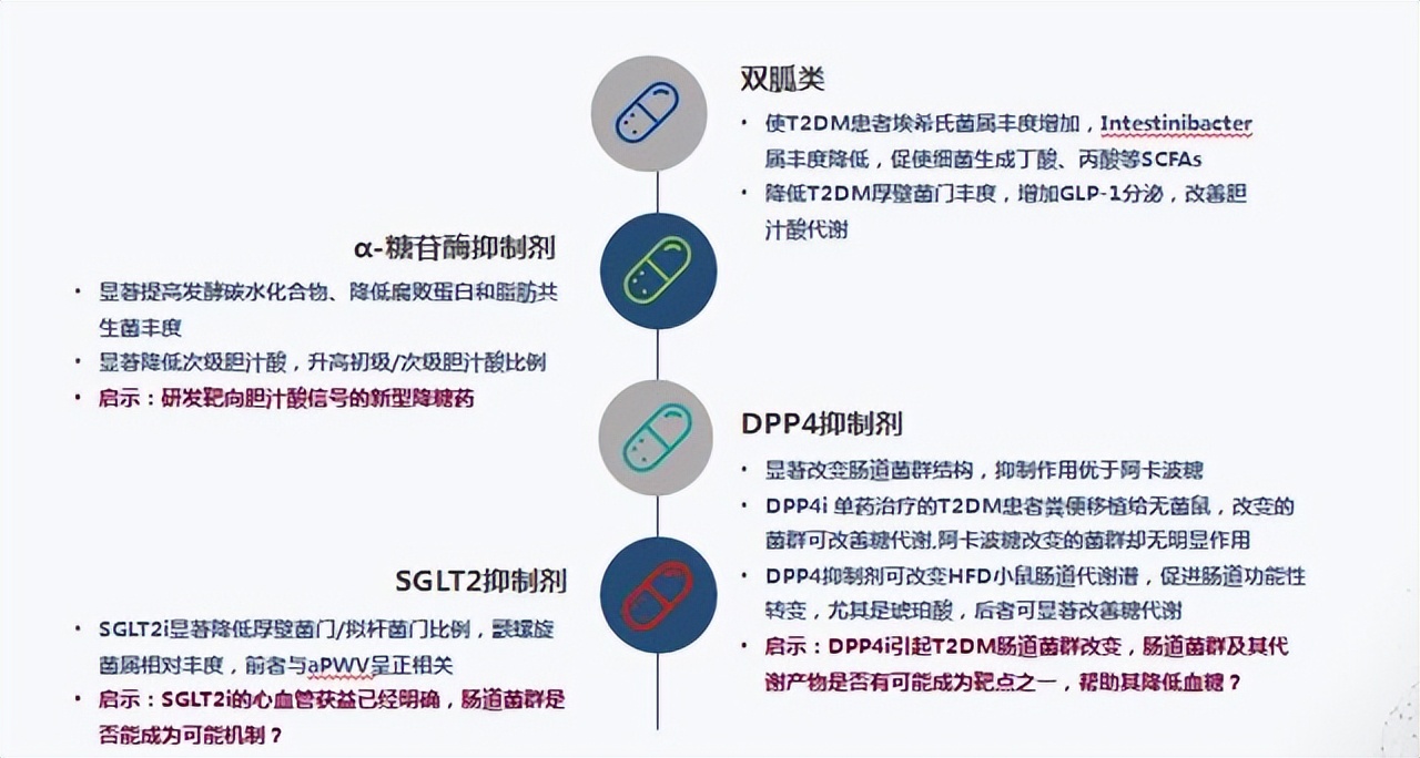 肠道菌群对糖尿病的影响,肠道有益菌对糖尿病的影响