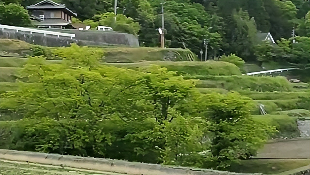 吉林农妇好心收养毒蛇,吉林农夫好心救了一条毒蛇