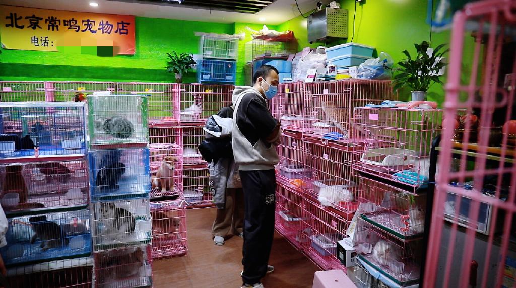 探访！新官园市场萌萌小动物们“营业”啦——