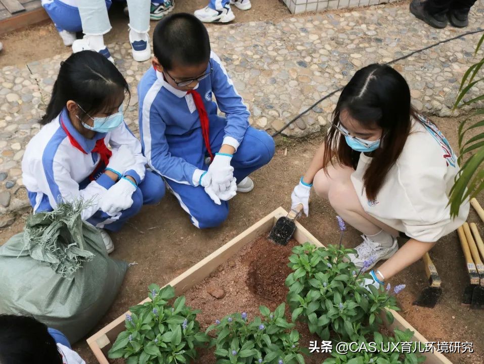 CAS儿童空间|生命花园:在校园屋顶打造感知自然的实验场