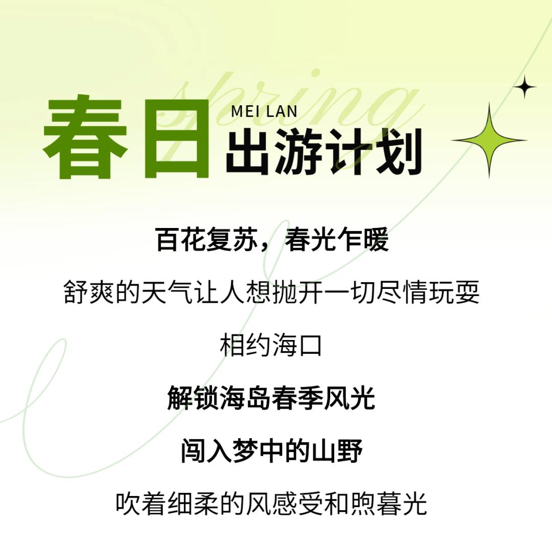 春日出游计划东寨港红树林观鸟游,东寨港红树林观鸟