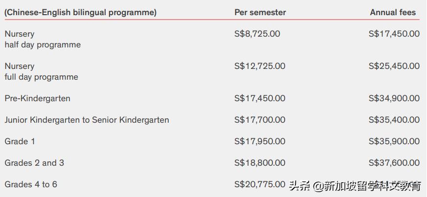 小文带你走进不一样的世界,新加坡国际学校和英国国际学校