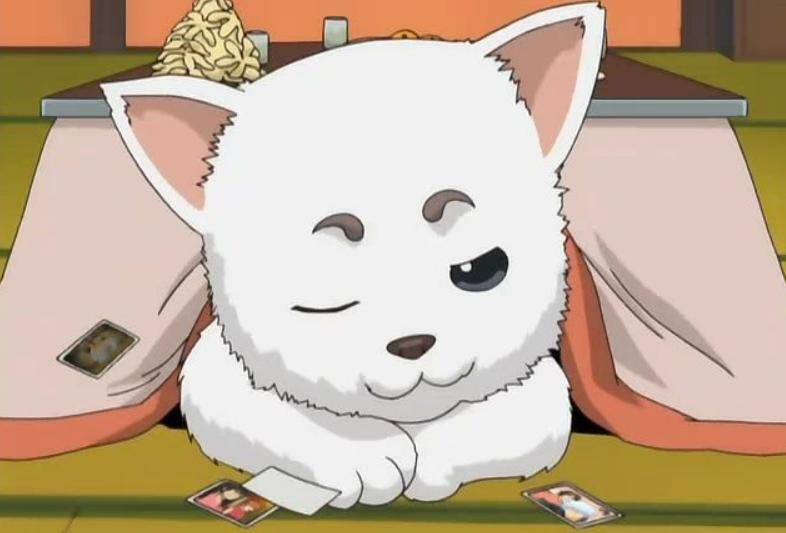 那些可爱毛茸茸的动漫宠物,盘点动漫中的五只萌宠