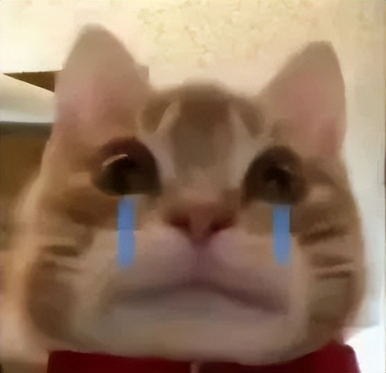 自从买了这个手机壳，我就经常找不到手机了