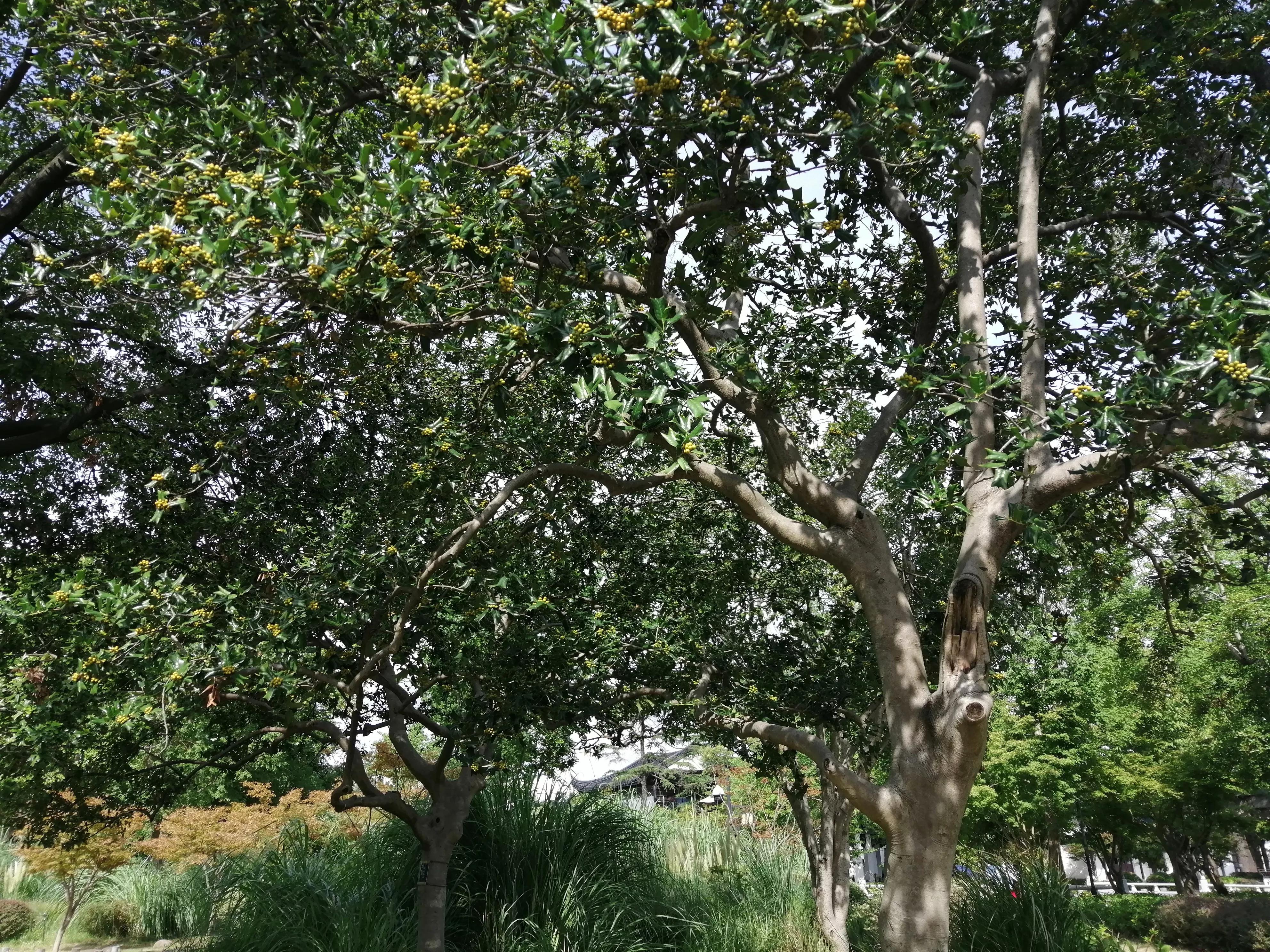 东园好玩的景点推荐,东园旅游景点推荐