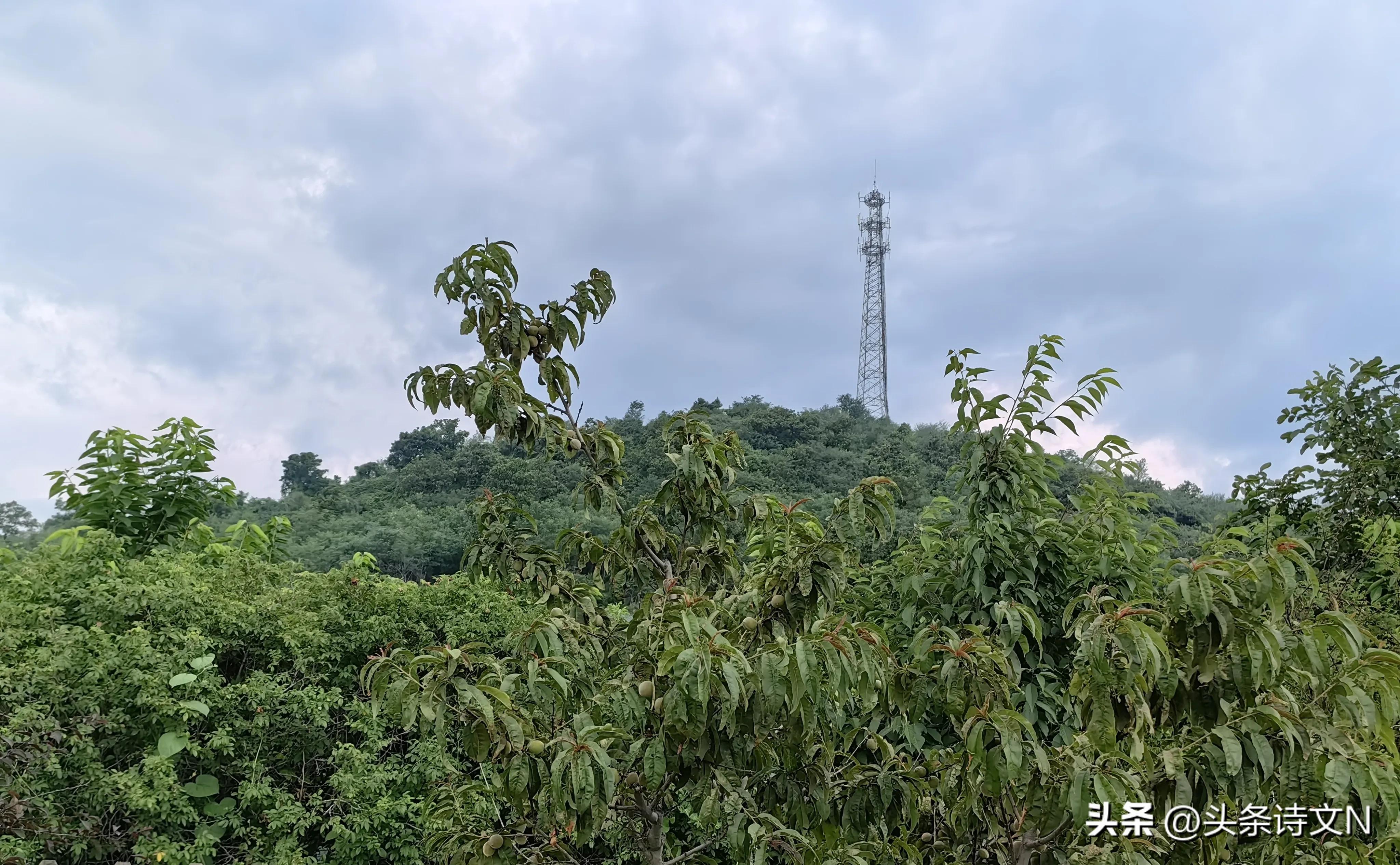 最好的旅行方式是什么,旅游选哪种方式更自由舒心