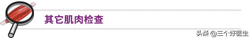 每日一肌,每日一肌背阔肌