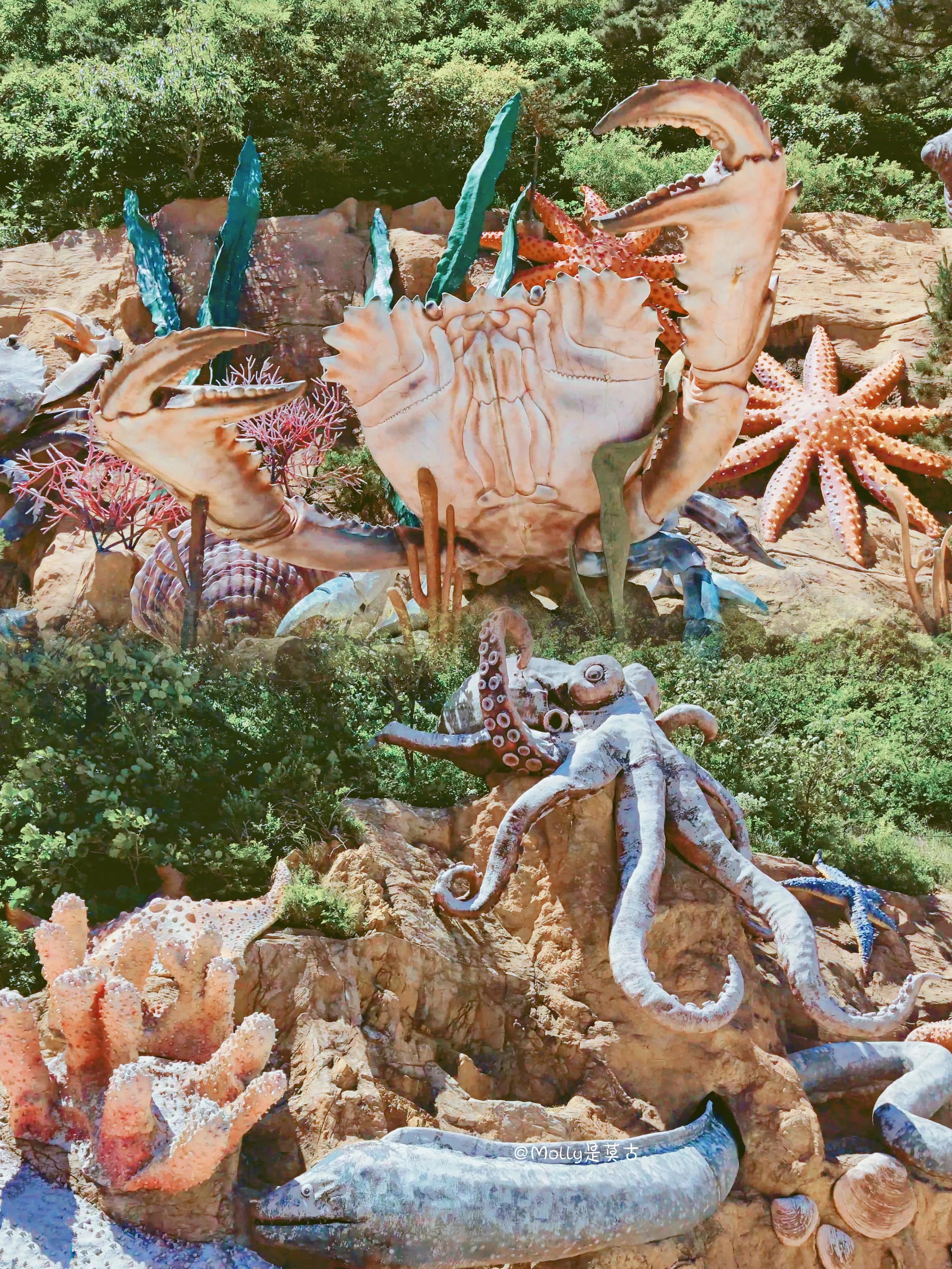 初冬时大连海之韵公园照片,大连看日出海之韵公园在哪里