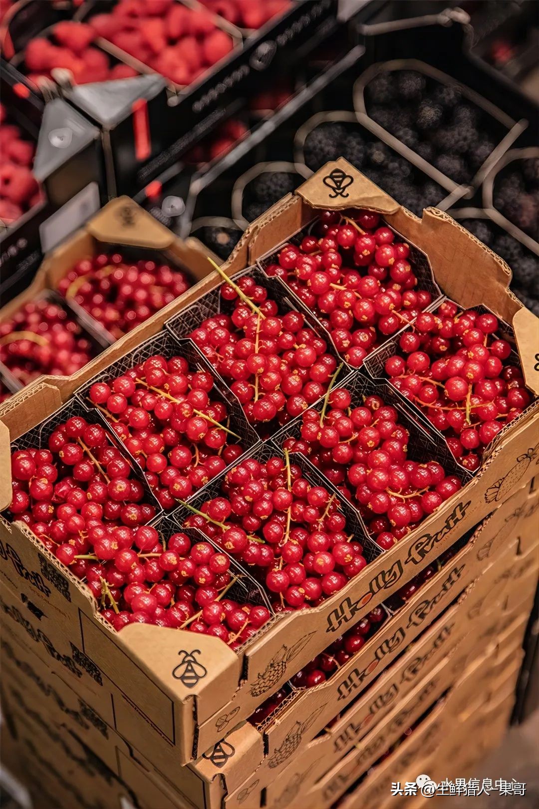 世界第一果蔬批发市场,中国十大果蔬批发市场