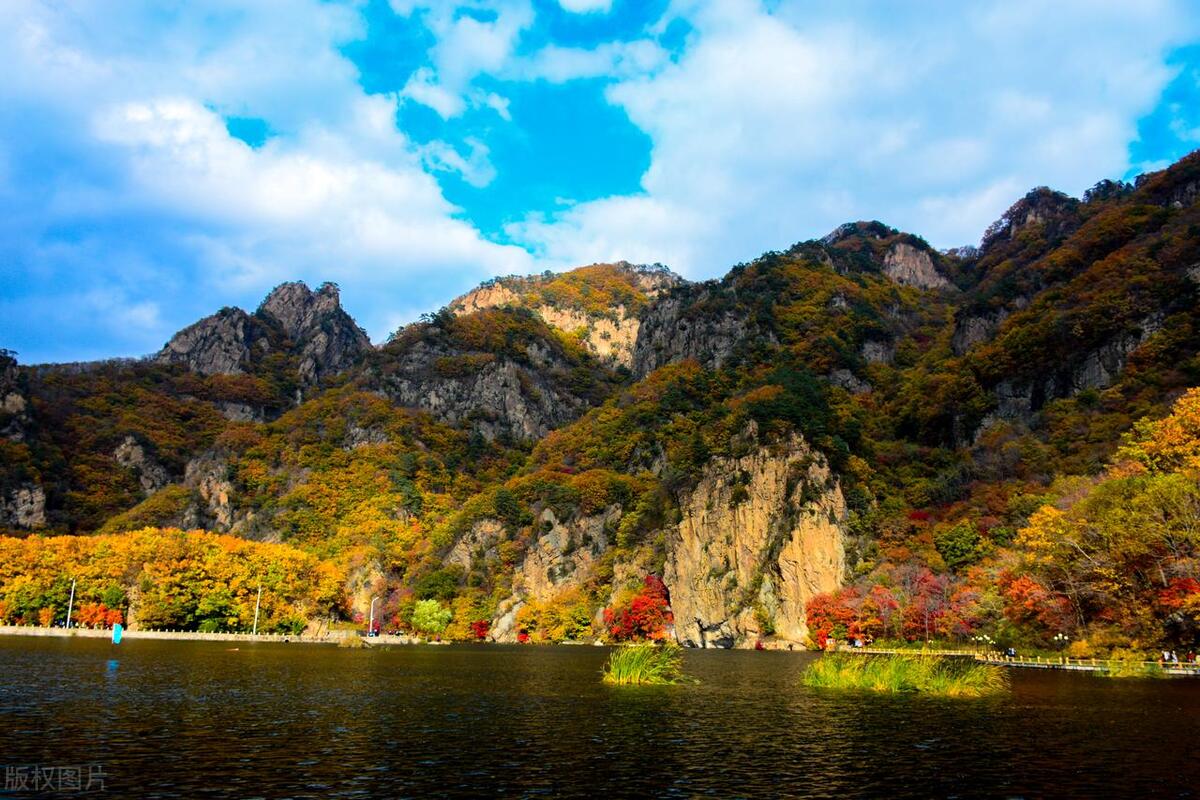 中央的宠儿宜宾,本溪中央