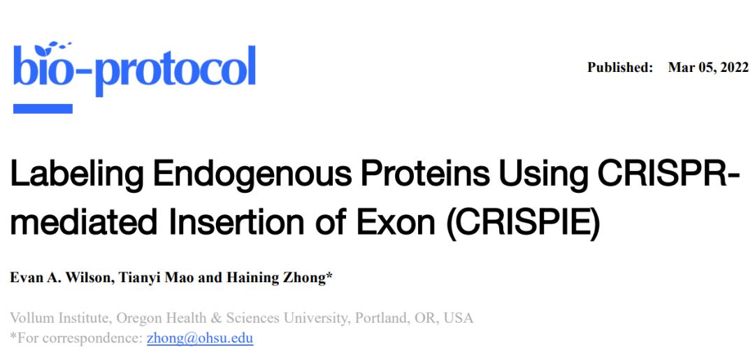 crispr蛋白质,crispr最新成果