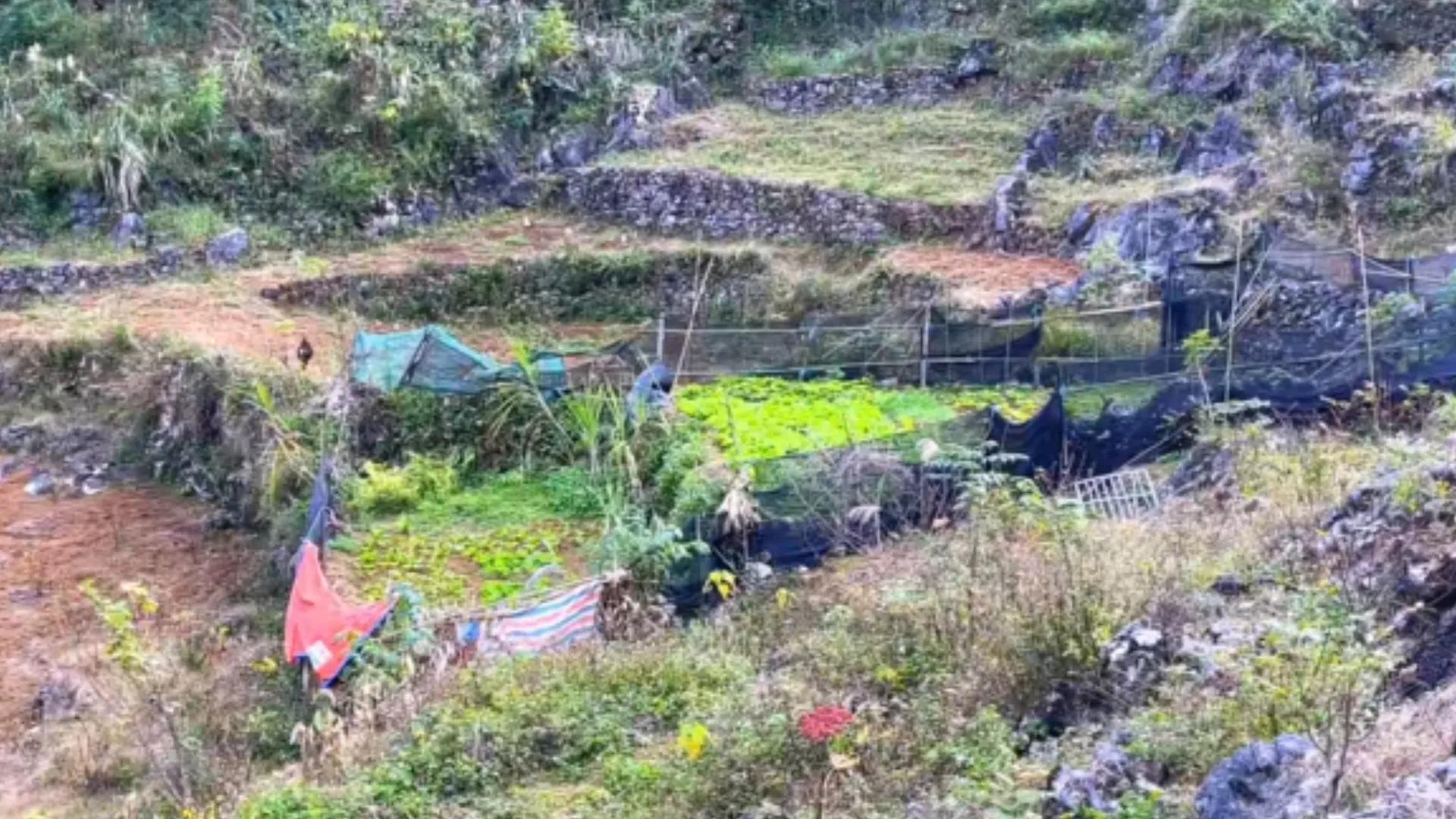 18岁女孩被卖到山村嫁给傻子,花季少女被卖大山嫁傻子