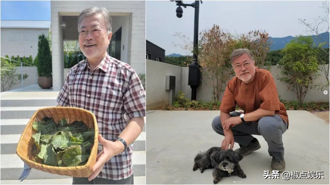 文在寅卸任后到底想做什么,文在寅卸任后待遇