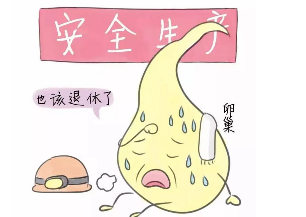 女人绝经后为什么不想再生,女人为什么会绝经后就不怀孕了