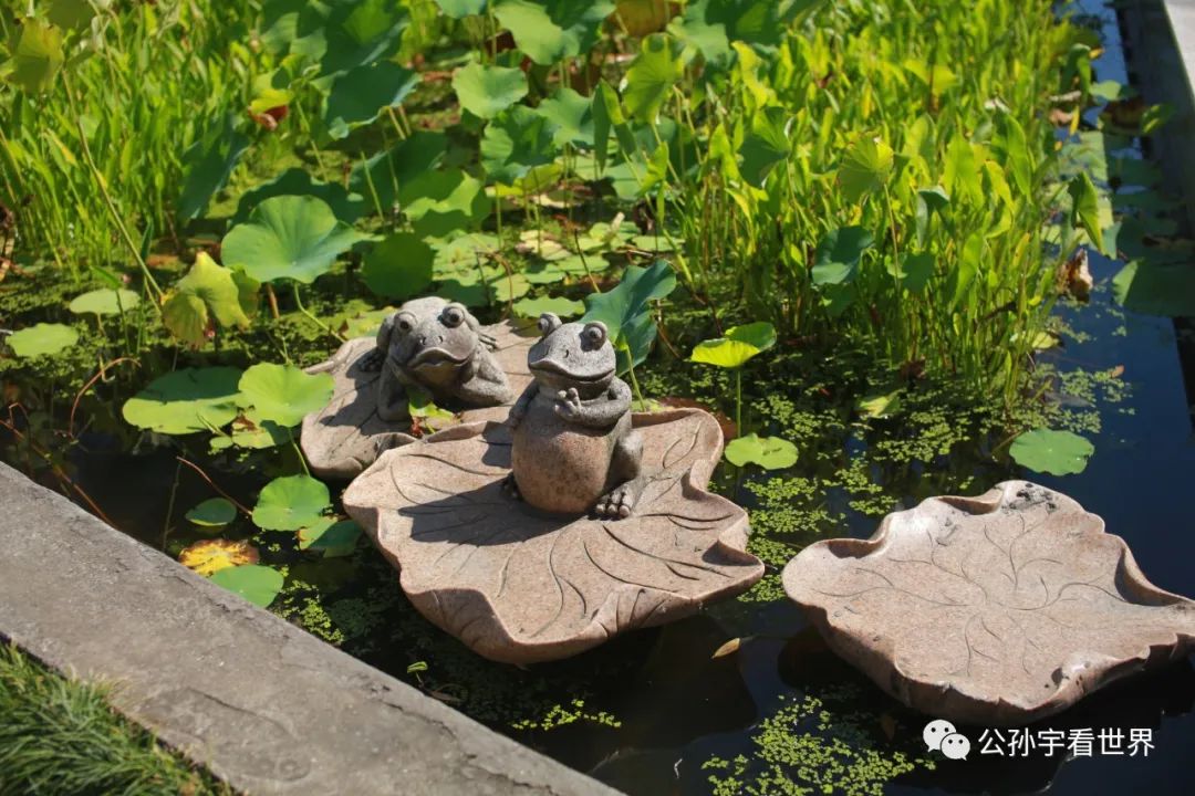 平湖东湖景区,东湖景区平湖八大景致