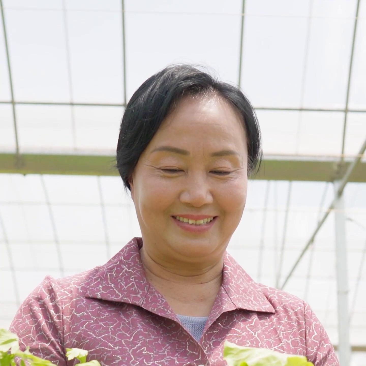 农业项目策划包装成功案例,农产品的产品形象设计策划