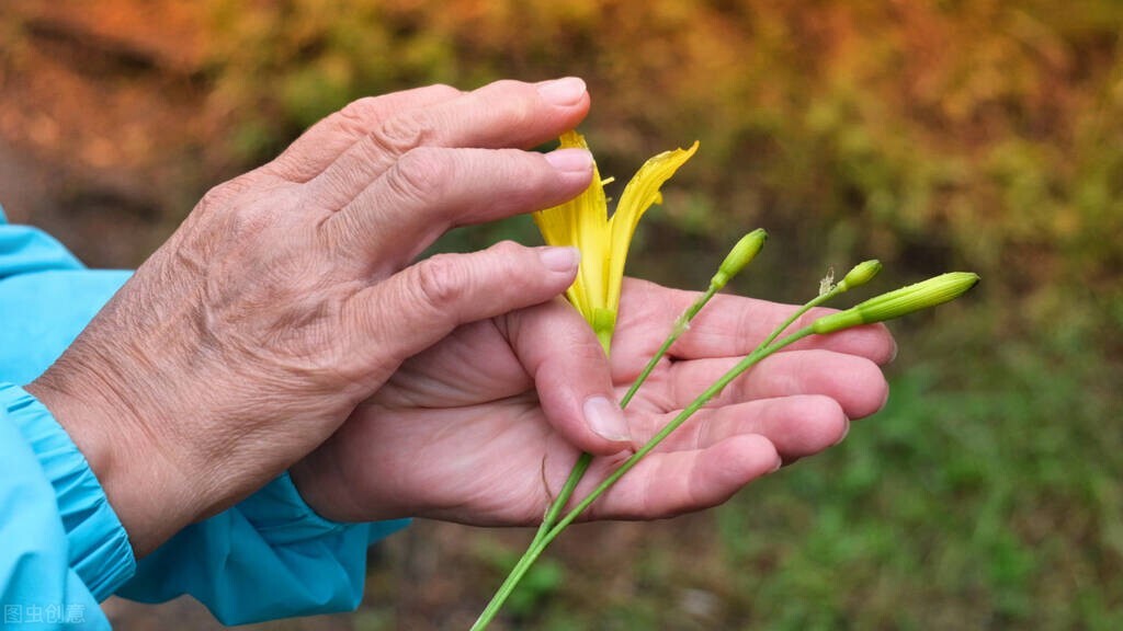 哪种血型人容易得老年痴呆,哪种血型患痴呆风险高