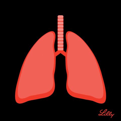 为什么不建议用加湿器,千万别再乱用加湿器了