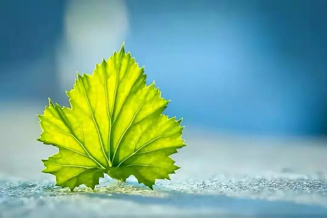 如何处理婆媳之间带小孩的矛盾,化解婆媳冲突的最佳方法