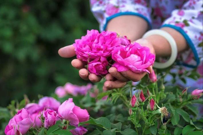 老中医喜欢十大食材,老中医五种食物养生100岁
