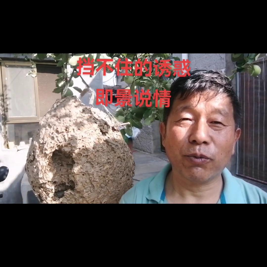 夫妻间最好的礼物该是什么呢,夫妻之间最珍贵的礼物是彼此