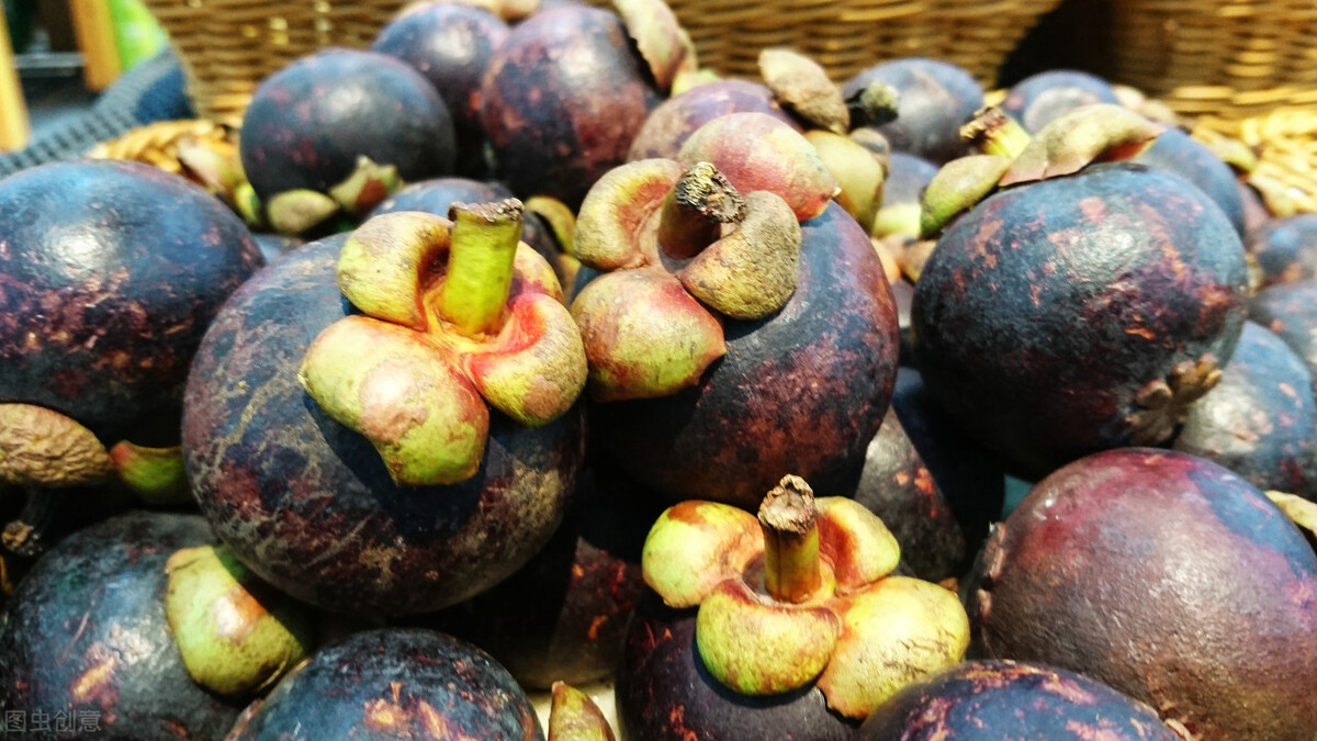 中国国际航运上市公司,浙江航运上市公司有哪些