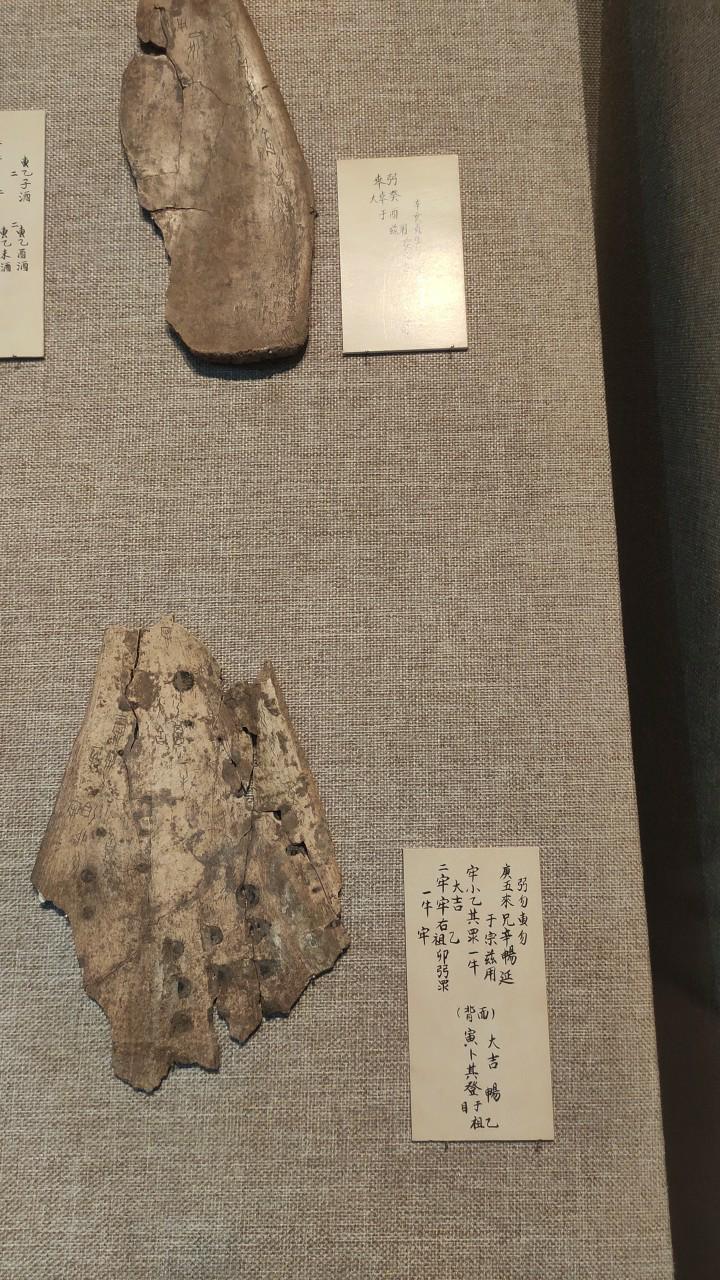 神兽出现原因,神兽的黑历史