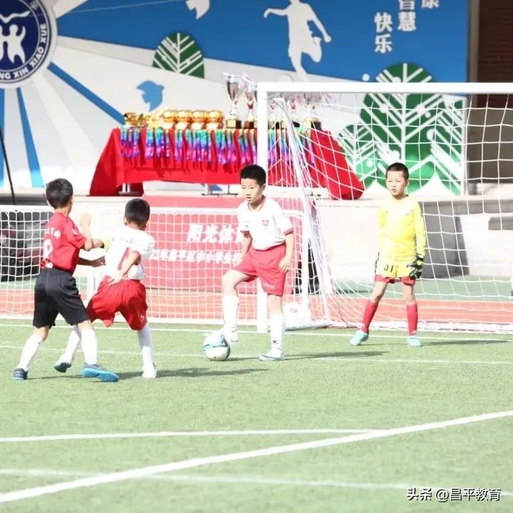 校园竞技体育的魅力,校园青春比赛