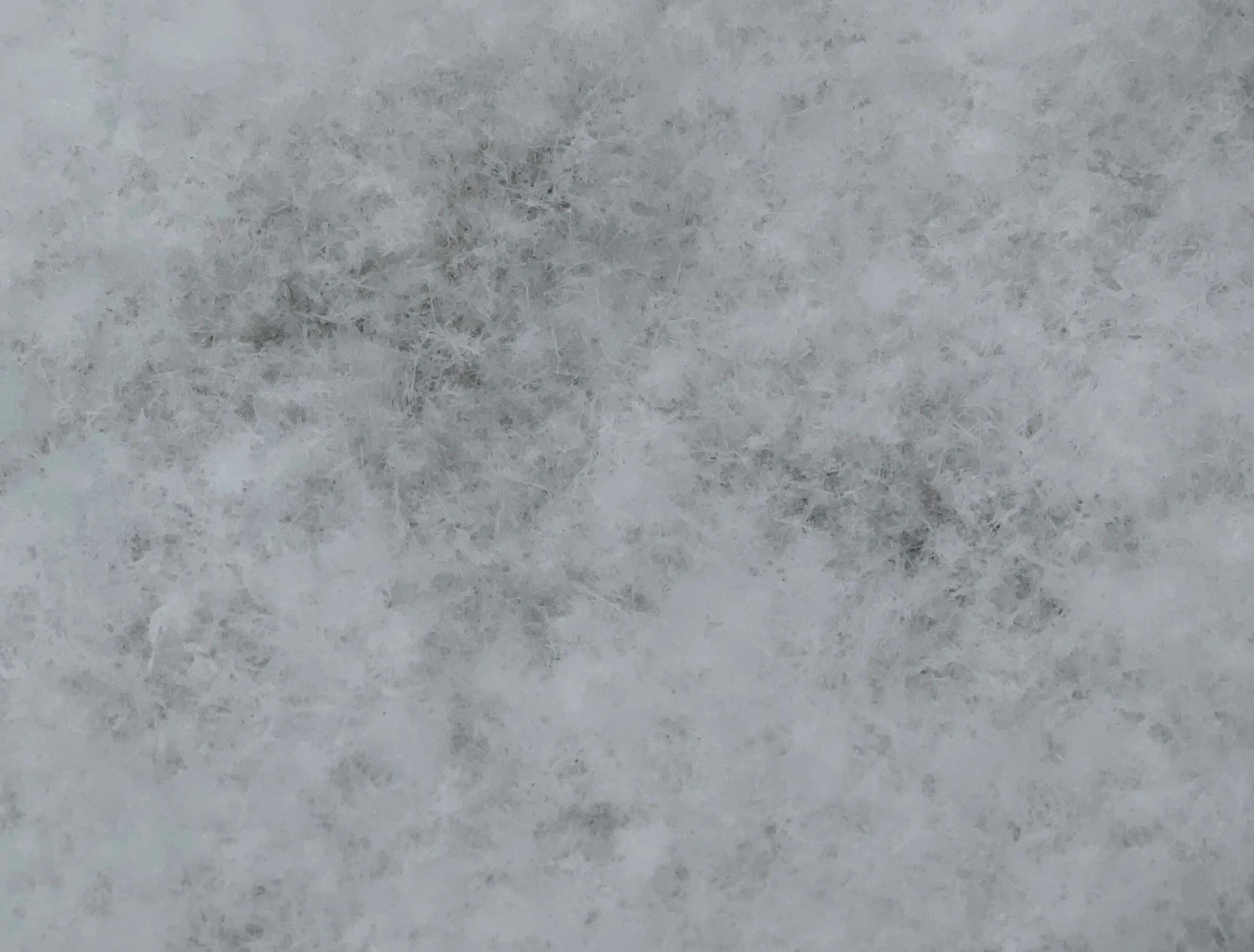 荔枝宠妃历史远大唐飞骑红尘去若是口袋银两足奇瓜异果日啖百元姆