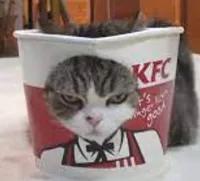 40分钟肯德基疯狂星期四,第一次点肯德基疯狂星期四