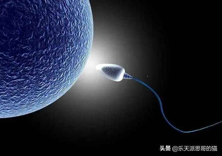 在游泳池里放入蝌蚪会怎么样,游泳池里会有尿吗