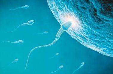 自测精子质量,自测精子质量有用么