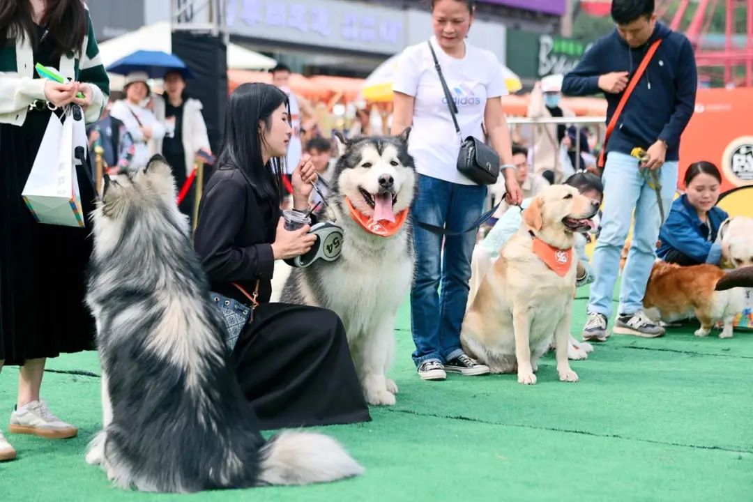 一起玩出彩er，「北京世纪金源」邀你共同畅享假日小时光！