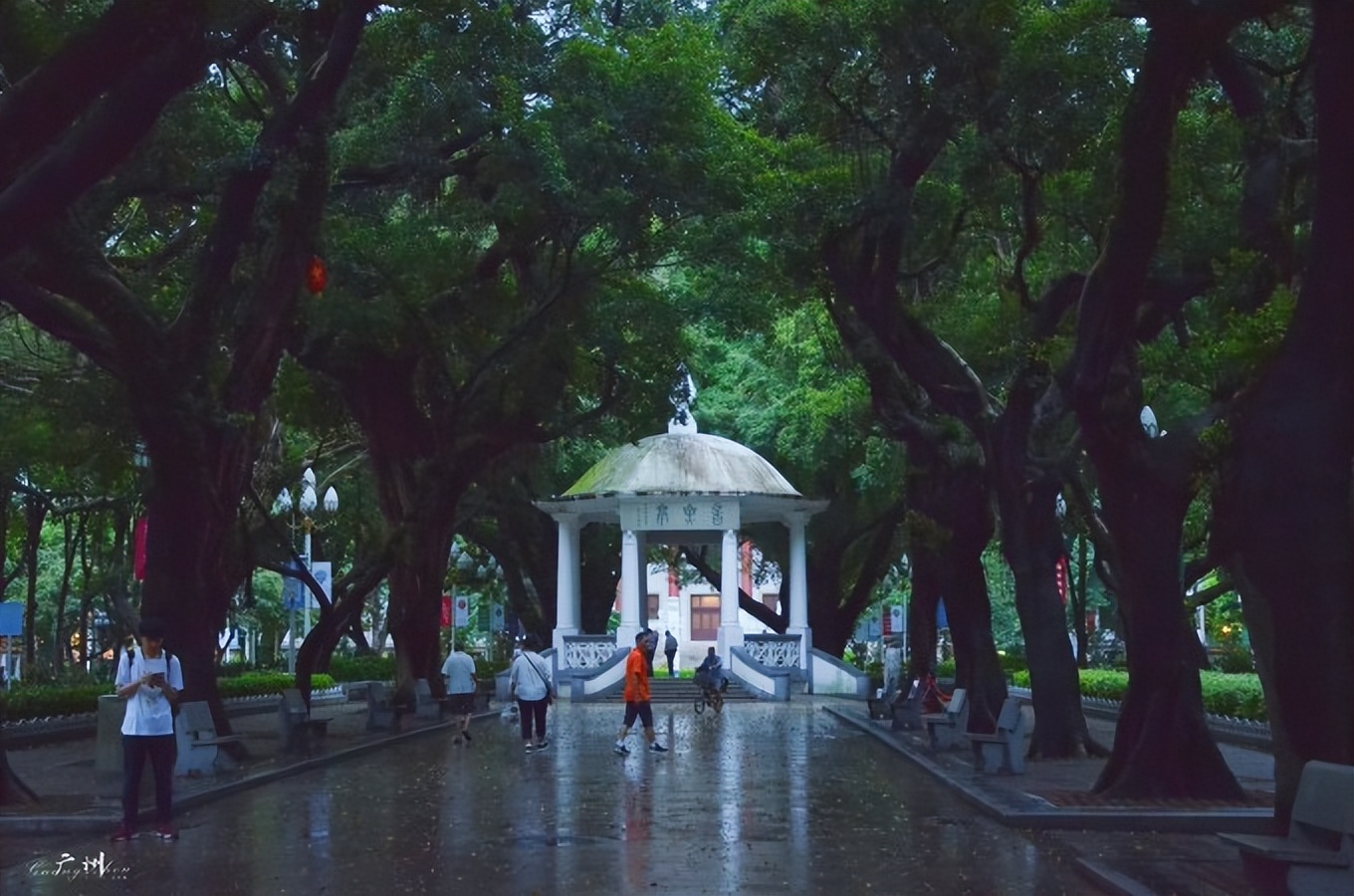 广州秋冬寻味之旅,寻味广州美食旅游攻略