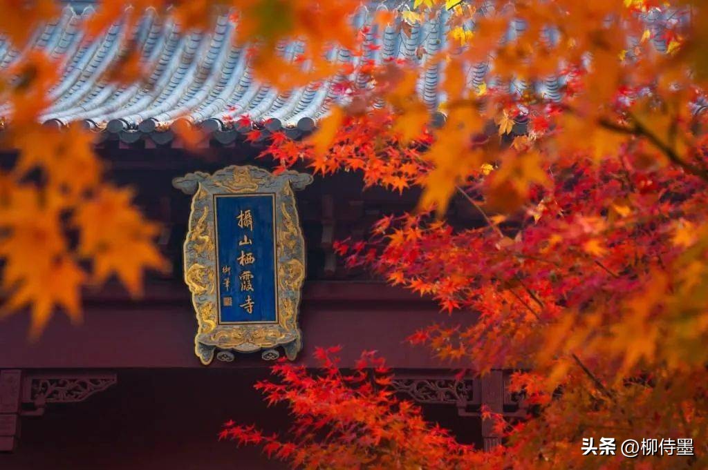 一个摄影技巧，提升拍照质量，照片好看十倍