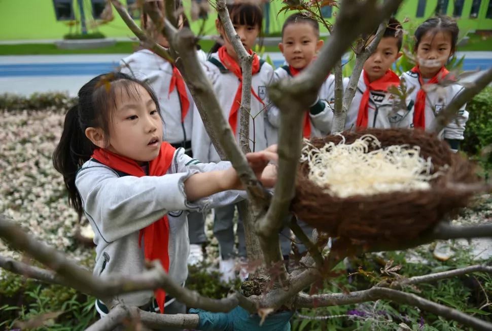 南京师范大学附属中学江山小学，一所拥抱儿童充满期待的新型学校