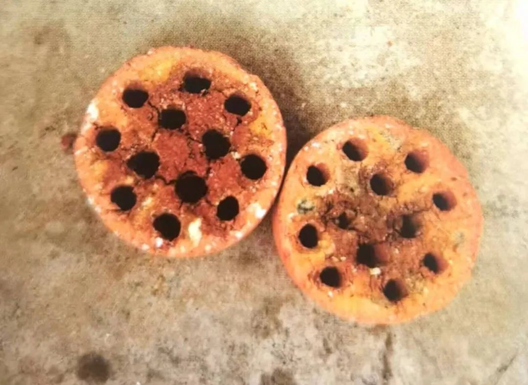 养兰植料要因地制宜,养兰花植料技术管理视频