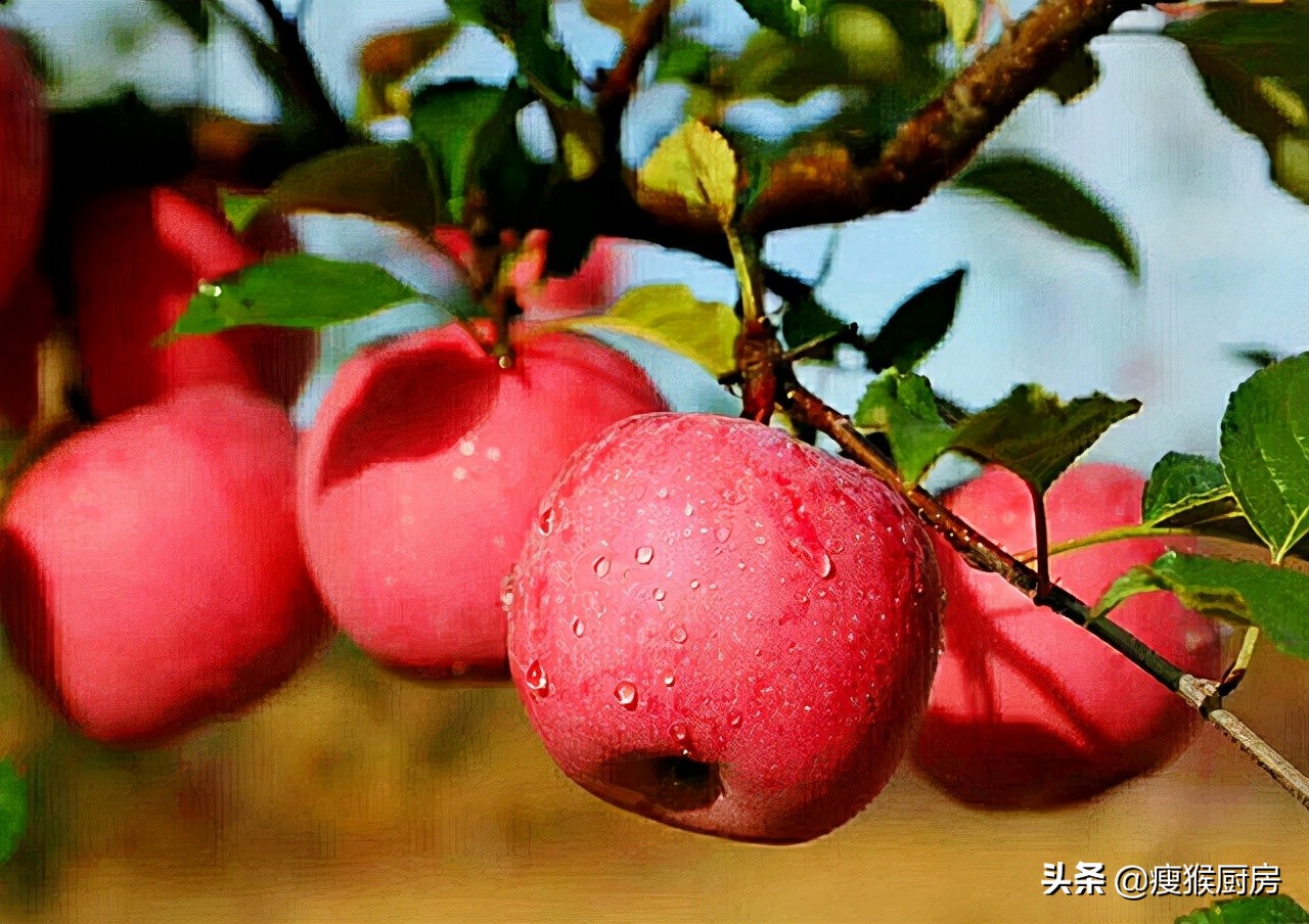 全国哪里的苹果好吃价格便宜,全国哪里苹果最好吃最便宜