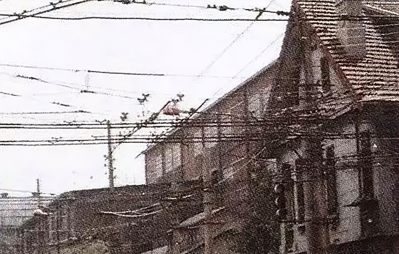 11年,*新宇毛**携妻看望找回毛岸英两兄弟的李云,刘滨:第一次听说