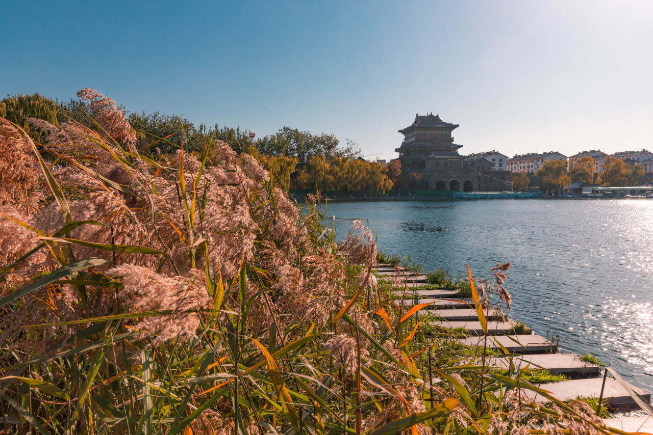济南百脉泉公园游览日记,济南百脉泉风景区