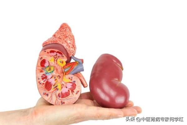 肾病是中医治疗好还是西医治疗好,肾病是中医治疗好还是西医治得好