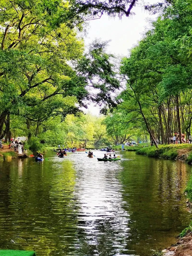 信阳冬日周边游,信阳旅游露营攻略